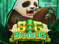 Wild casino free bonus97